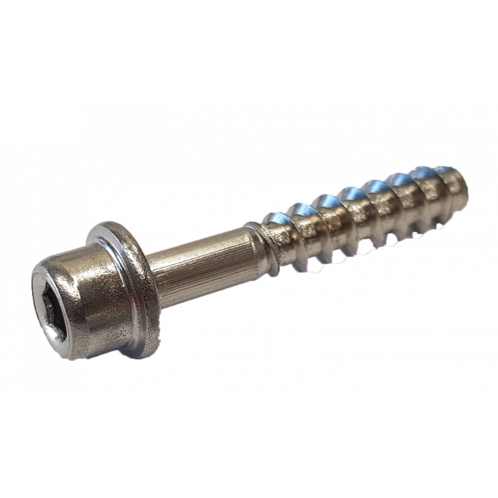 Шуруп для ножных петель Severne Hex-4 M6/30