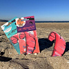 Ароматизатор Kite North Reach 2022 Sunset Beach